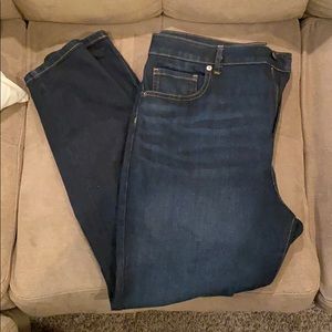 Everlane | High Rise Curvy Skinny Jean 33R